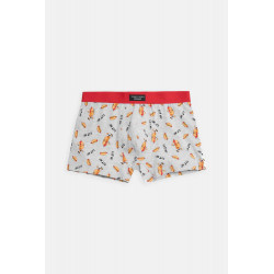 Pack 2 bóxers estampado FOOD AND CHIPS